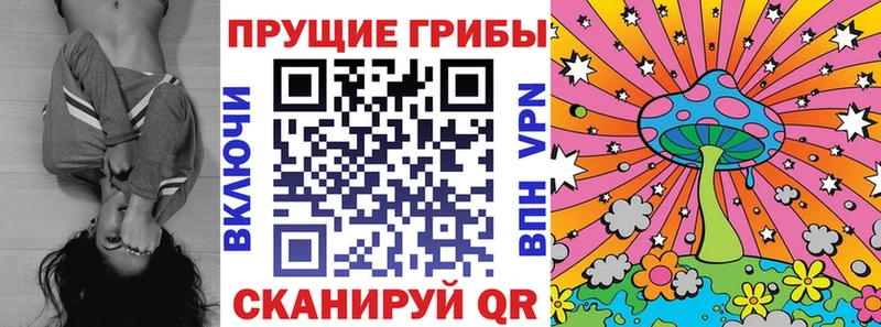 Галлюциногенные грибы GOLDEN TEACHER  где продают наркотики  Каменногорск 