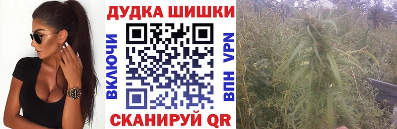Конопля планчик  дарнет шоп  Каменногорск 